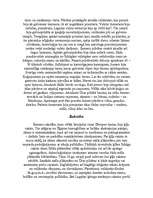 Referāts 'Divupe', 4.