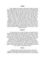 Referāts 'Divupe', 6.