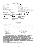 Konspekts 'Ogļhidrāti', 1.