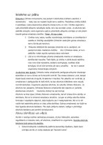 Eseja 'Alkohola negatīvā ietekme uz prātu un organismu', 1.