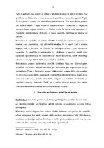 Referāts 'Motivācijas teorijas menedžmenta skatījumā un atspoguļojums praksē', 7.