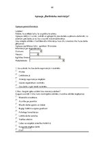 Referāts 'Motivācijas teorijas menedžmenta skatījumā un atspoguļojums praksē', 40.