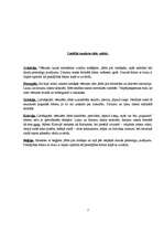 Konspekts 'Lietišķā sarakste', 7.