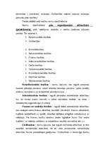 Konspekts 'Tiesību normu hierarhija LR', 2.