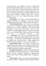 Konspekts 'Tiesību normu hierarhija LR', 3.