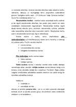 Konspekts 'Tiesību normu hierarhija LR', 4.