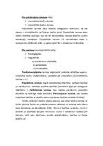 Konspekts 'Tiesību normu hierarhija LR', 5.