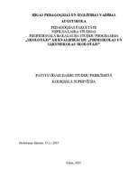Eseja 'Kā es redzu koleģiālās supervīzijas metodes izmantošanu savā darbā', 1.