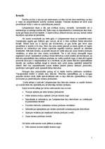 Referāts 'Latīņamerikas deju festivāli kā tūrisma produkts', 7.