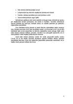 Referāts 'Latīņamerikas deju festivāli kā tūrisma produkts', 8.