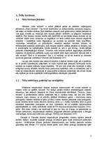 Referāts 'Latīņamerikas deju festivāli kā tūrisma produkts', 9.