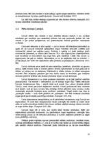 Referāts 'Latīņamerikas deju festivāli kā tūrisma produkts', 14.