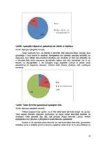 Referāts 'Latīņamerikas deju festivāli kā tūrisma produkts', 28.