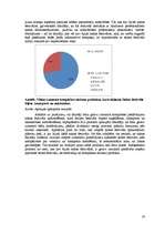 Referāts 'Latīņamerikas deju festivāli kā tūrisma produkts', 29.