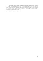 Referāts 'Latīņamerikas deju festivāli kā tūrisma produkts', 31.