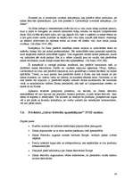 Referāts 'Latīņamerikas deju festivāli kā tūrisma produkts', 36.