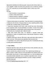 Referāts 'Grupu diskusijas kā kvalitatīvā pētījuma metode. Fokusgrupu tēmas izvēle un vadl', 3.