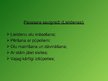 Prezentācija 'Reliģiskās tradīcijas. Latvieši un musulmaņi', 6.