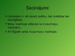 Prezentācija 'Reliģiskās tradīcijas. Latvieši un musulmaņi', 8.