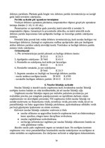 Referāts 'Apgrozāmo līdzekļu uzskaite', 34.