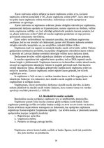 Referāts 'Apgrozāmo līdzekļu uzskaite', 36.