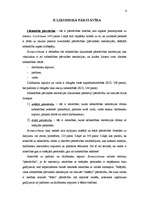 Referāts 'Kapitālsabiedrības pārstāvība', 6.