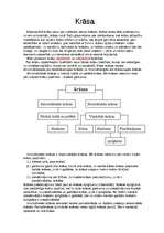 Konspekts 'Krāsas glezniecībā', 1.