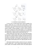 Referāts 'Supresijas dziļuma mērījumi cilvēkiem ar anizometropiju', 11.