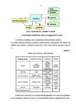 Konspekts 'Projekts "Uzņēmuma veidošana"', 3.