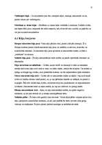 Referāts 'Ķermeņa valoda', 13.