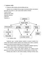 Prakses atskaite 'Uzņēmuma darbības analīze', 13.