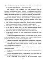 Prakses atskaite 'Uzņēmuma darbības analīze', 28.