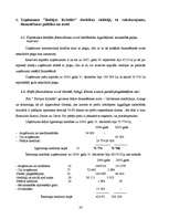 Prakses atskaite 'Uzņēmuma darbības analīze', 33.