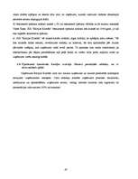 Prakses atskaite 'Uzņēmuma darbības analīze', 40.