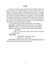 Referāts 'Pirts procedūras', 1.