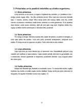 Referāts 'Pirts procedūras', 8.