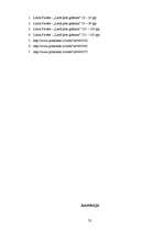 Referāts 'Pirts procedūras', 20.