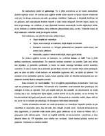 Referāts 'Lietišķā etiķete - sieviešu aksesuāri', 3.