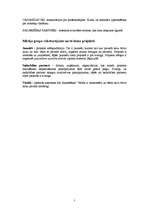 Biznesa plāns 'Jauniešu vasaras nometnes organizēšana Jāņmuižā', 7.