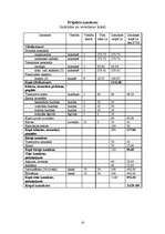 Biznesa plāns 'Jauniešu vasaras nometnes organizēšana Jāņmuižā', 10.