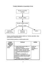 Biznesa plāns 'Jauniešu vasaras nometnes organizēšana Jāņmuižā', 12.