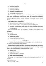 Referāts 'Atvaļinājuma izmantošana atkarībā no darba devēja un darba ņēmēja attiecībām', 10.