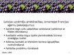 Prezentācija 'Latviešu produkta eksporta iespējas Francijā un ASV', 17.