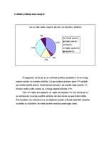 Diplomdarbs 'Profesijas izvēle un pašrealizācijas vajadzības atbilstība profesionālās darbība', 24.