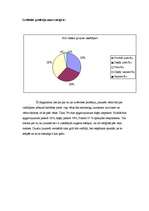 Diplomdarbs 'Profesijas izvēle un pašrealizācijas vajadzības atbilstība profesionālās darbība', 29.