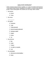 Referāts 'Fiziskā vardarbība', 35.