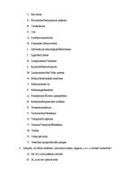 Referāts 'Fiziskā vardarbība', 36.