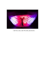 Eseja 'Recenzija Agra Daņiļēviča deju izrādei "Mana daba"', 2.