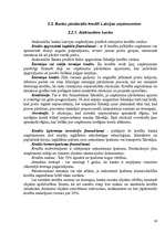 Referāts 'Kredītu tirgus uzņēmējdarbības attīstībai', 19.