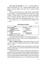 Diplomdarbs 'Sabiedrības ar ierobežotu atbildību "Eastcon AG LV" finanšu rādītāji un to ietek', 16.